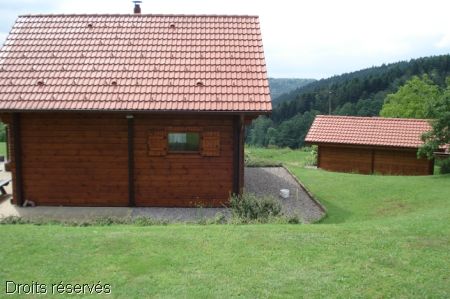 DSC00800